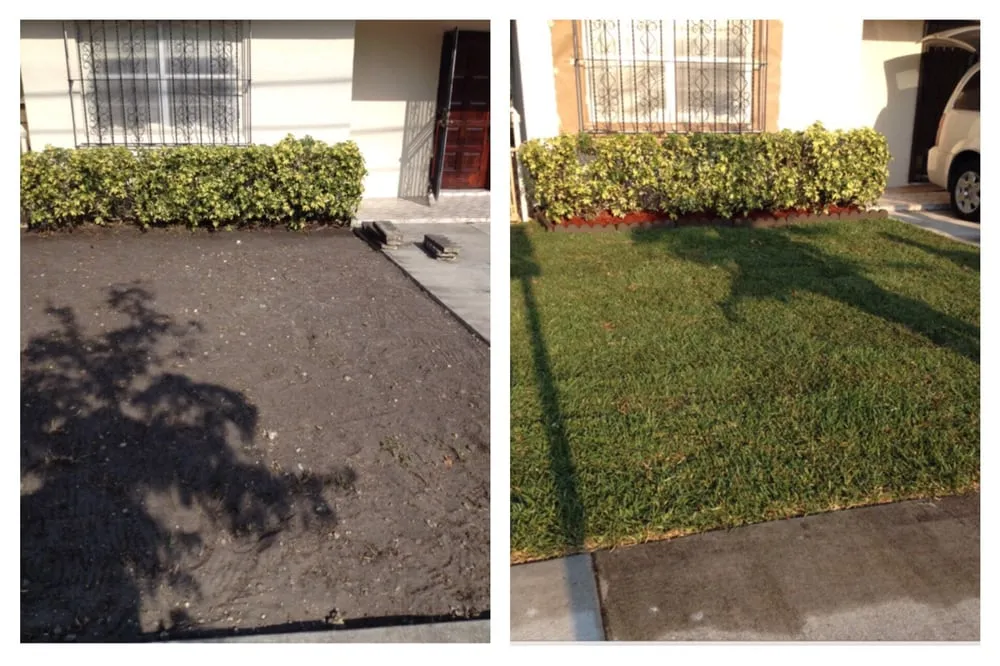 Professional yard cleanup service near you across Miami, FL - Green Shadows Landscaping
