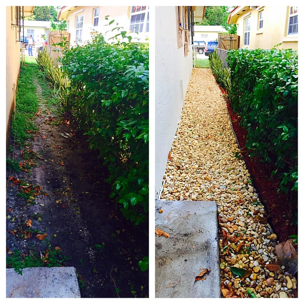 Affordable landscape installation in Miami, FL - Green Shadows Landscaping