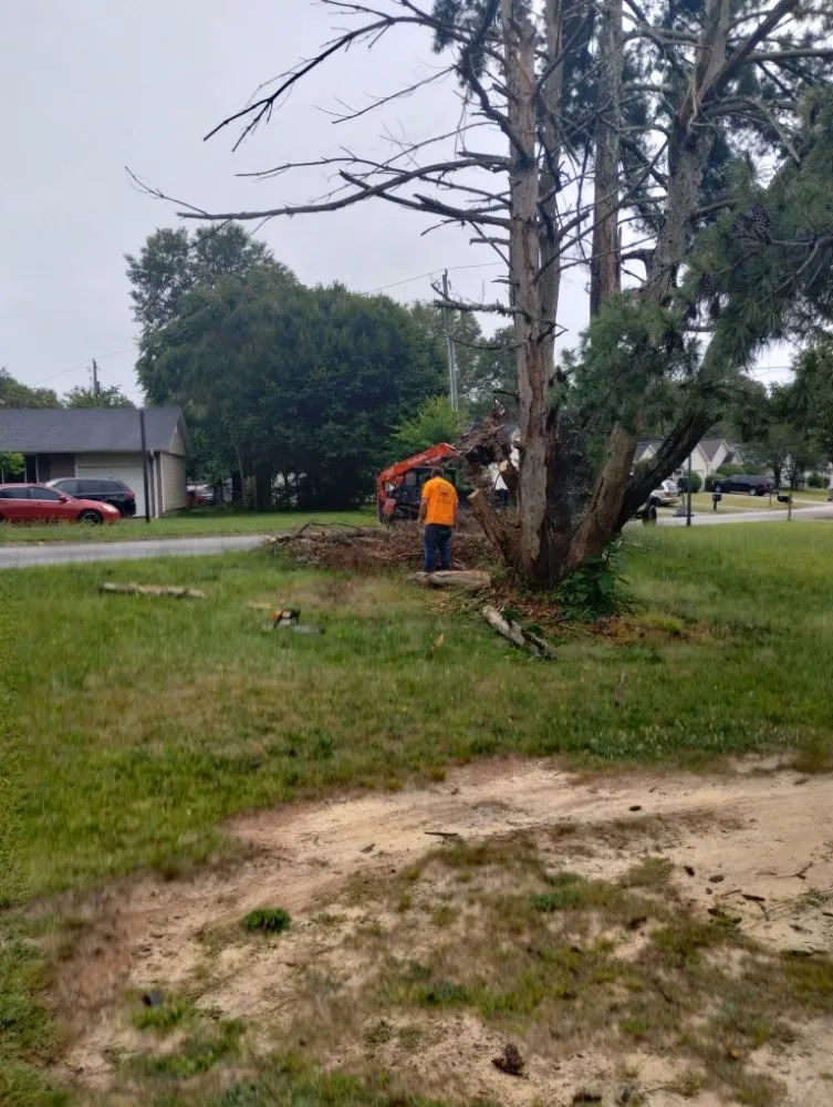 Custom garden landscaping in Spartanburg, SC by Green Shadows Tree Care And Landscaping