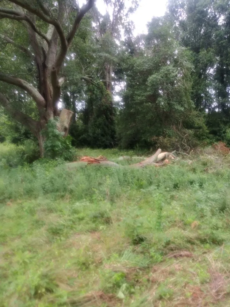 Top-rated landscape design experts serving Spartanburg, SC - Green Shadows Tree Care And Landscaping