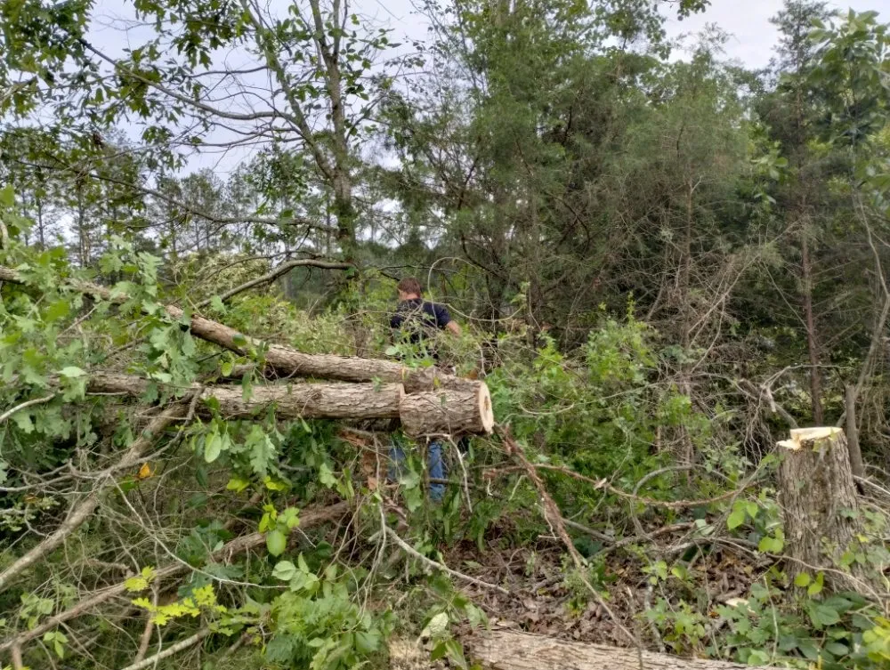 Reliable landscaping services in Spartanburg, SC - Green Shadows Tree Care And Landscaping