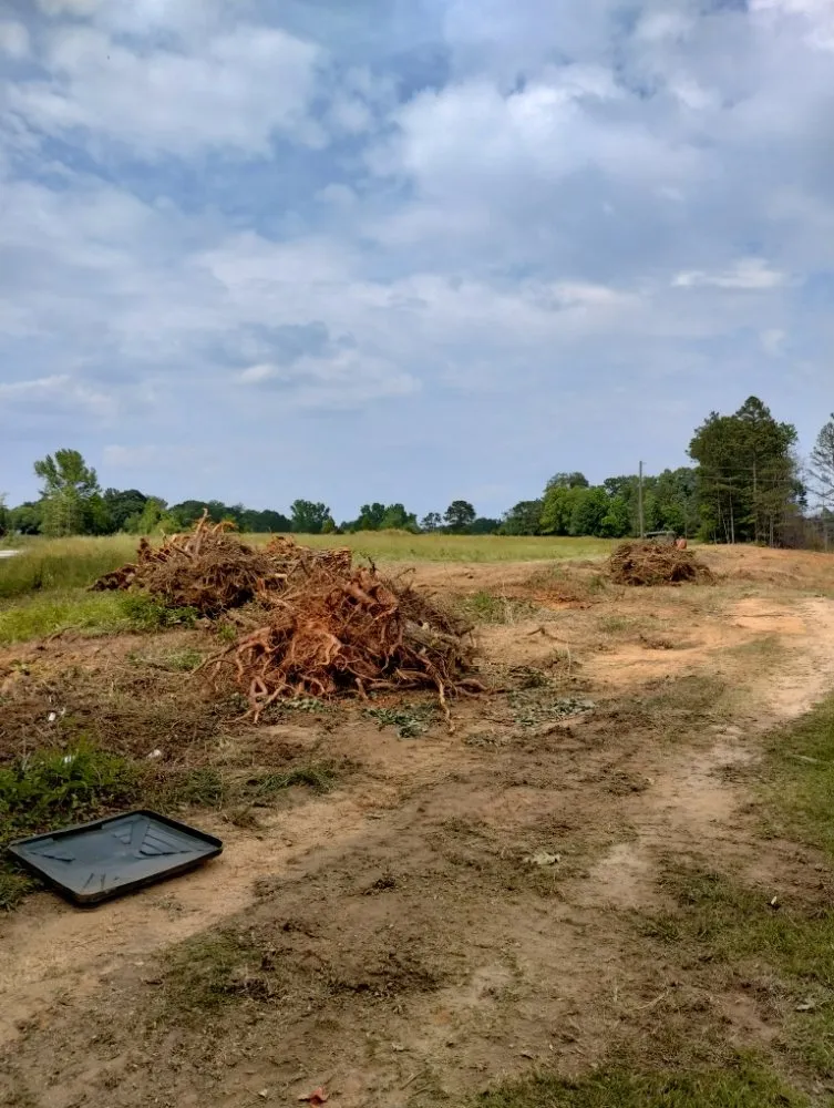 Expert yard maintenance experts serving Spartanburg, SC - Green Shadows Tree Care And Landscaping