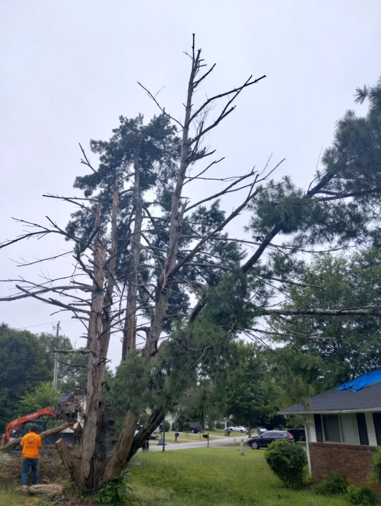 Custom lawn mowing service in Spartanburg, SC - Green Shadows Tree Care And Landscaping