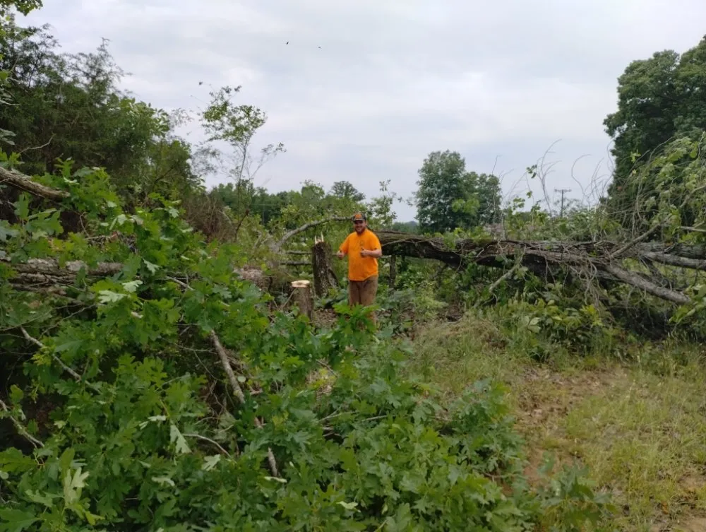 Trusted lawn mowing service near you across Spartanburg, SC - Green Shadows Tree Care And Landscaping