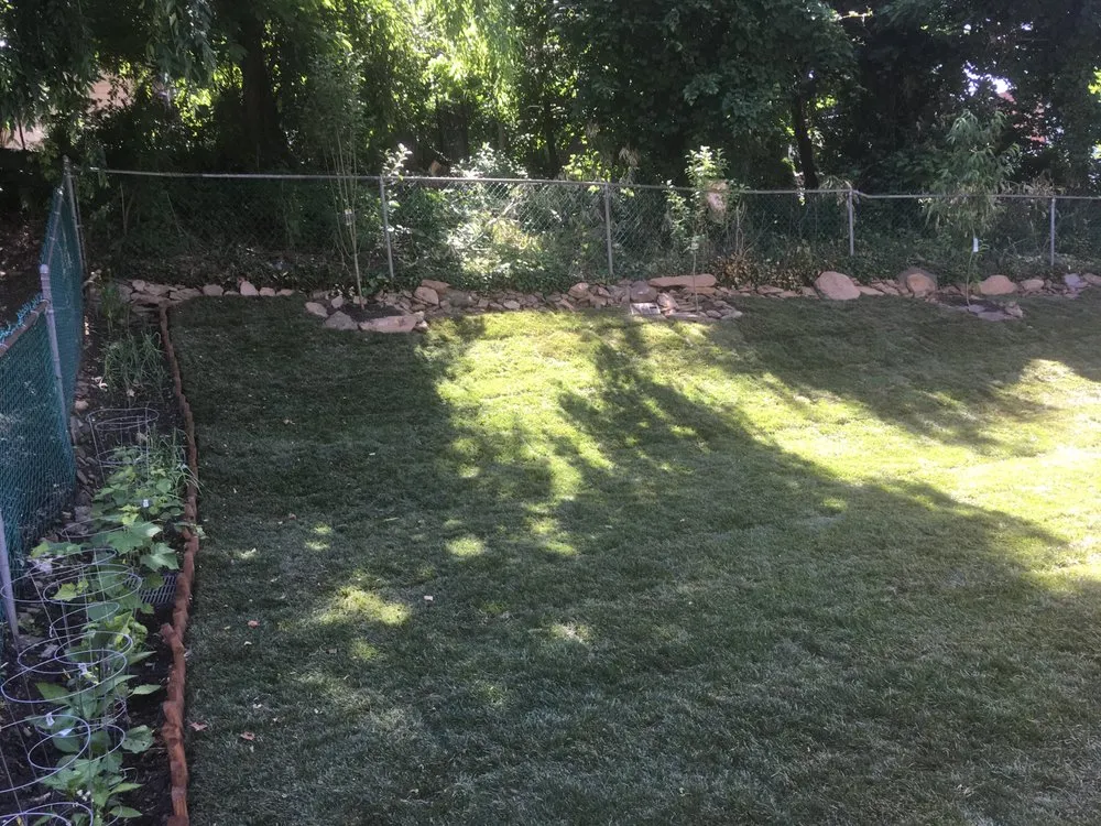 Affordable landscape installation for residential properties in Drexel Hill, PA by Green Sheep Landscaping