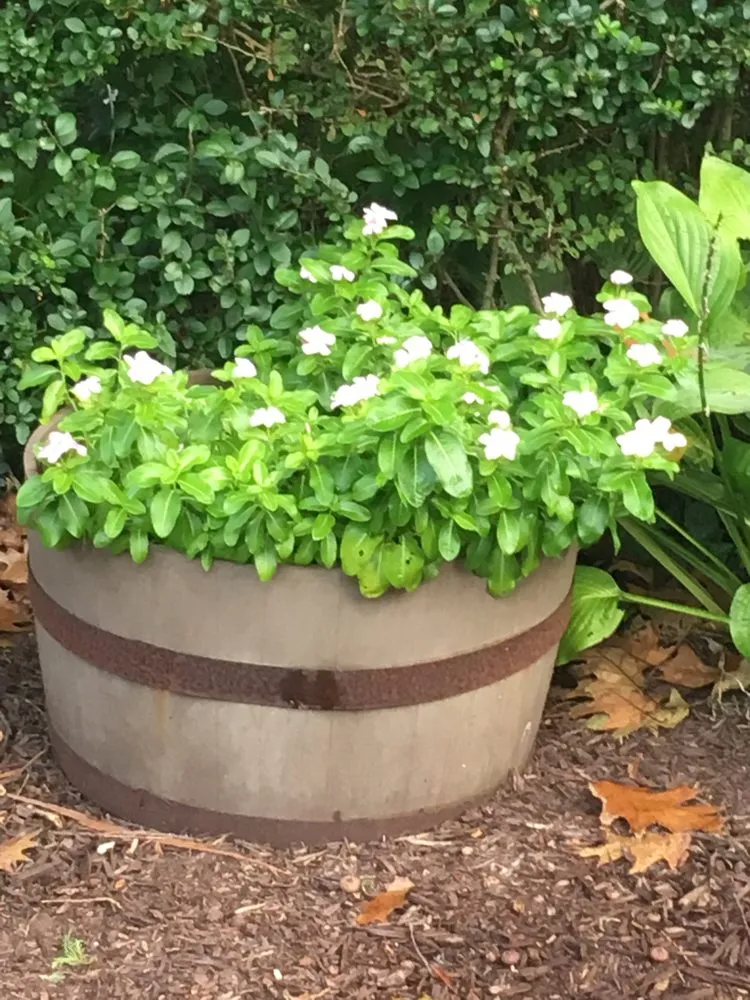 Professional yard cleanup service experts serving Drexel Hill, PA - Green Sheep Landscaping