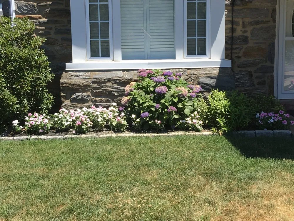 Expert landscape design in Drexel Hill, PA by Green Sheep Landscaping