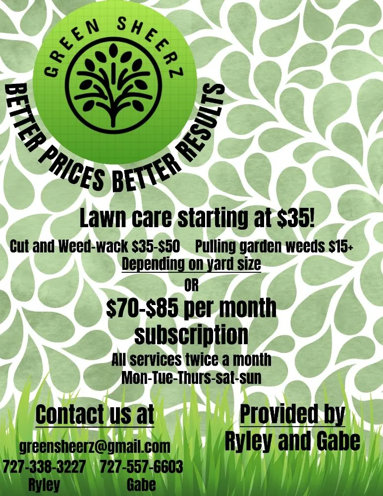 Professional landscape design with custom design in St. Petersburg, FL by Green Sheerz