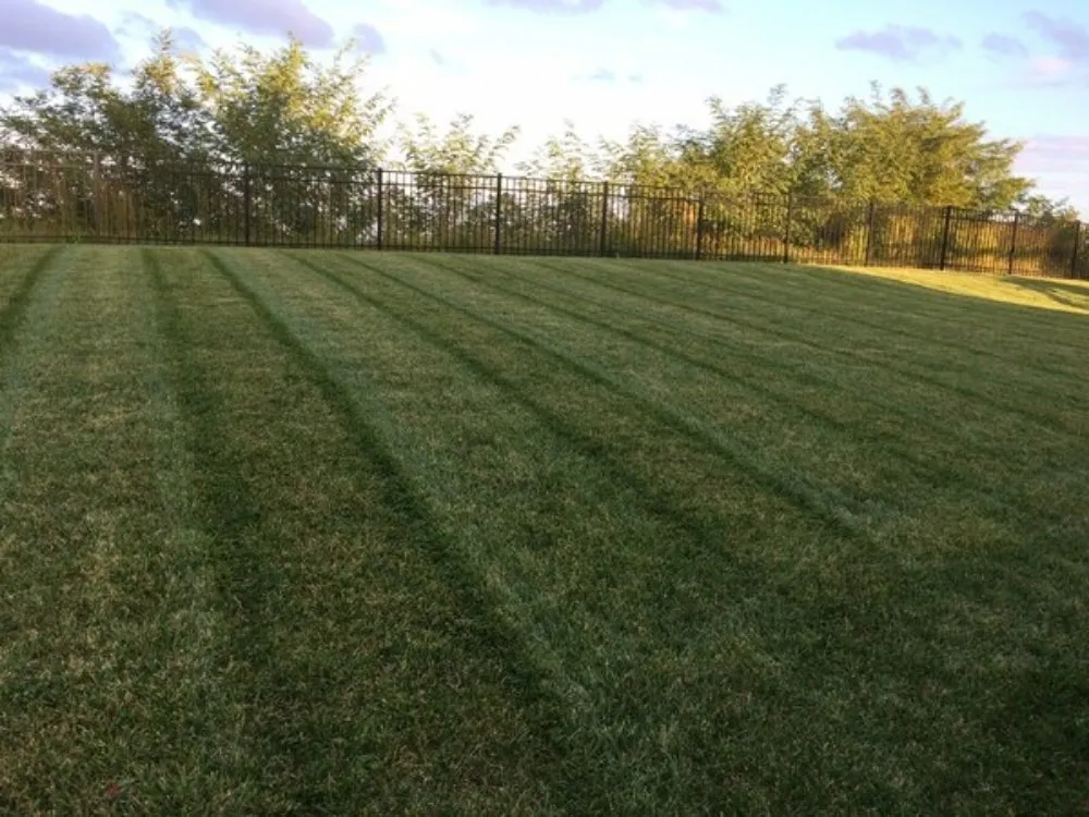 Custom yard cleanup service experts serving Cincinnati, OH - Green Shoes Lawn & Landscape