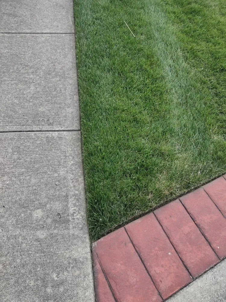 Affordable lawn care service in Cincinnati, OH by Green Shoes Lawn & Landscape