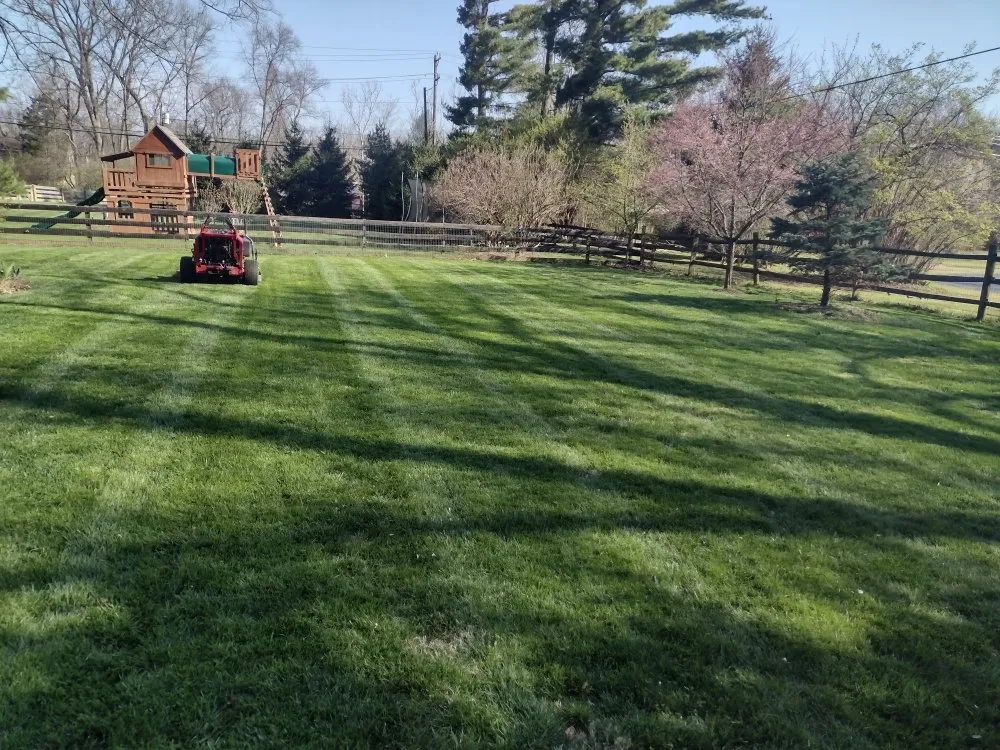 Trusted lawn care service with custom design across Cincinnati, OH - Green Shoes Lawn & Landscape