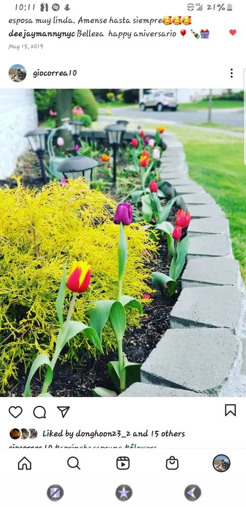 Reliable lawn care service experts serving Freeport, NY - Green Side Lawn