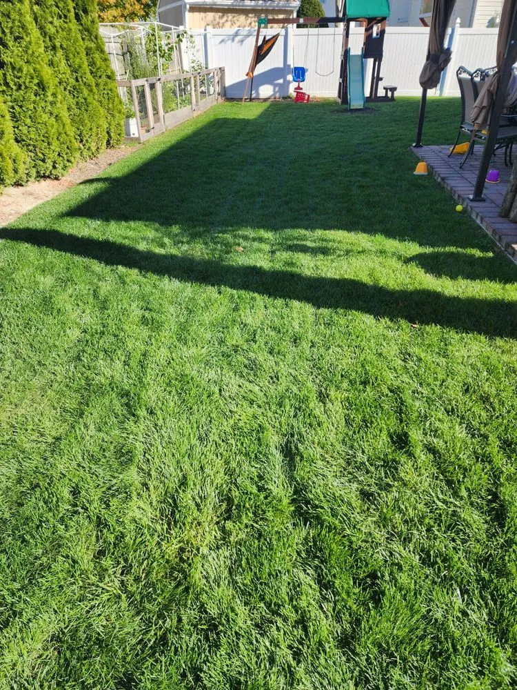 Professional landscape installation for outdoor upgrades across Freeport, NY - Green Side Lawn