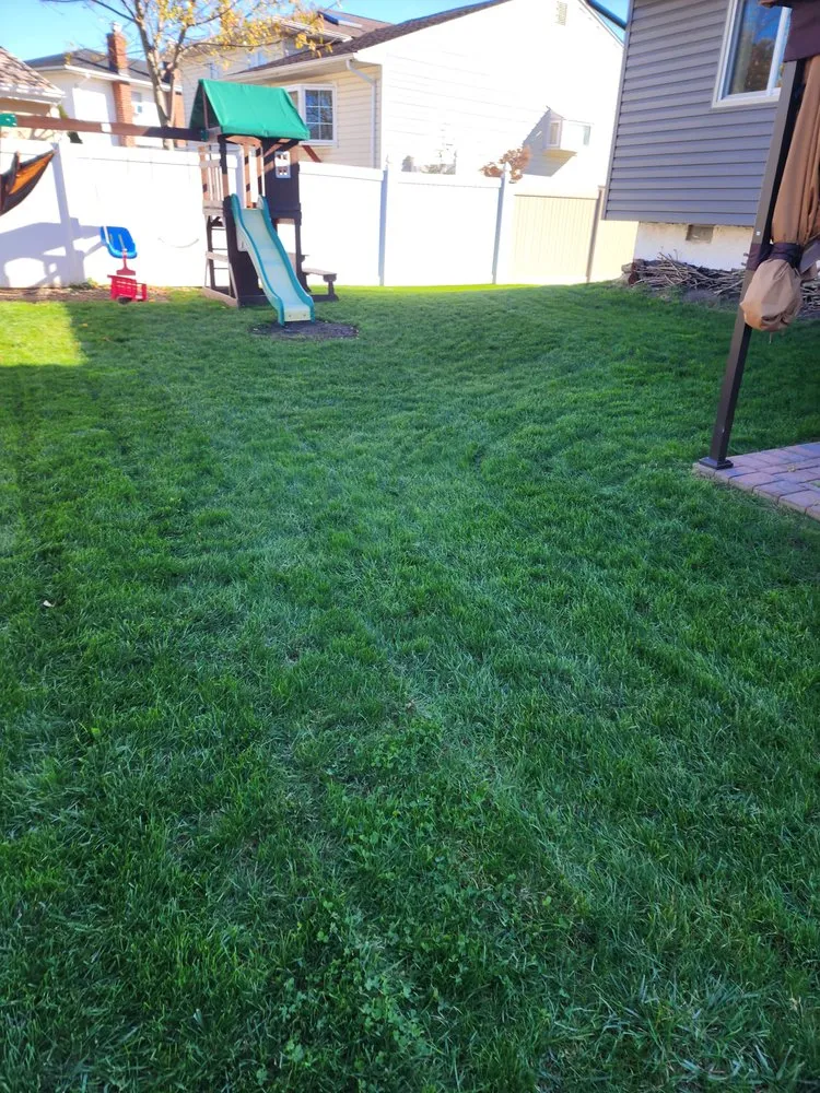 Professional landscape installation in Freeport, NY - Green Side Lawn