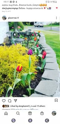 Green Side Lawn Logo