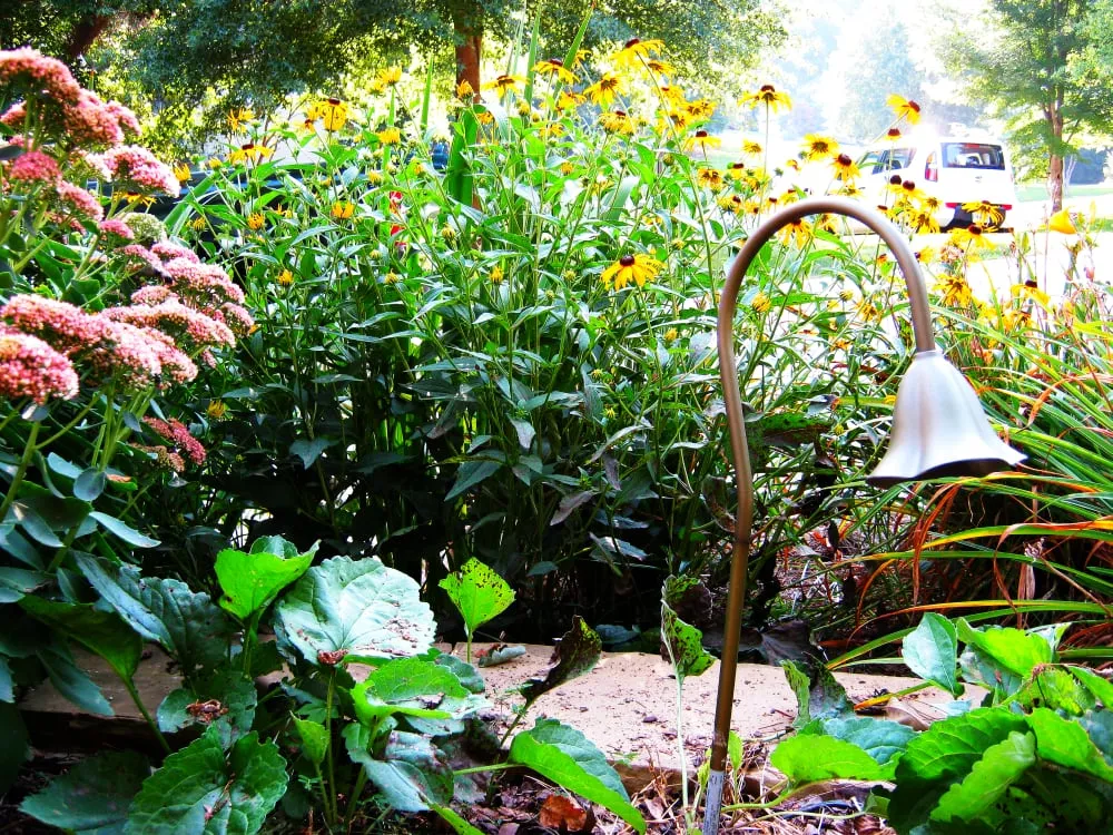 Reliable lawn care service in Acworth, GA by Green Side Up