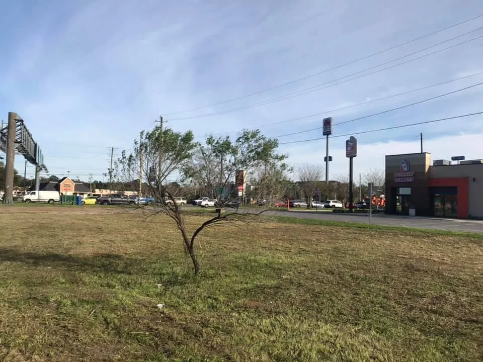 Trusted yard cleanup service with custom design in Cantonment, FL by Green Side Up Landscaping