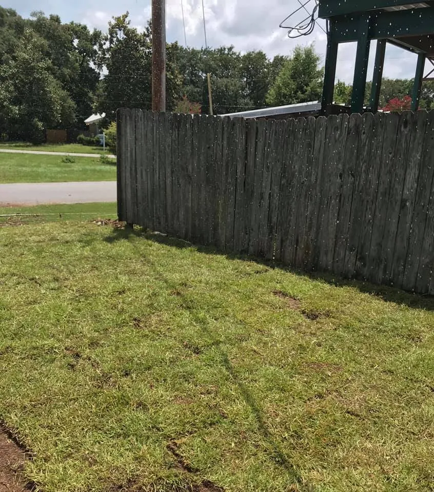 Top-rated residential landscaping for beautiful yards across Cantonment, FL - Green Side Up Landscaping