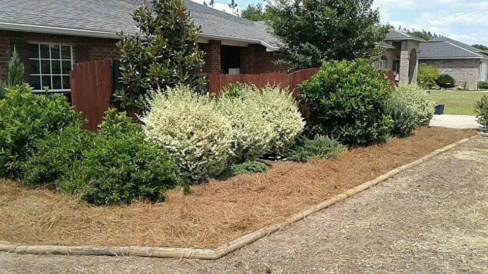 Top-rated landscaping services with custom design across Cantonment, FL - Green Side Up Landscaping