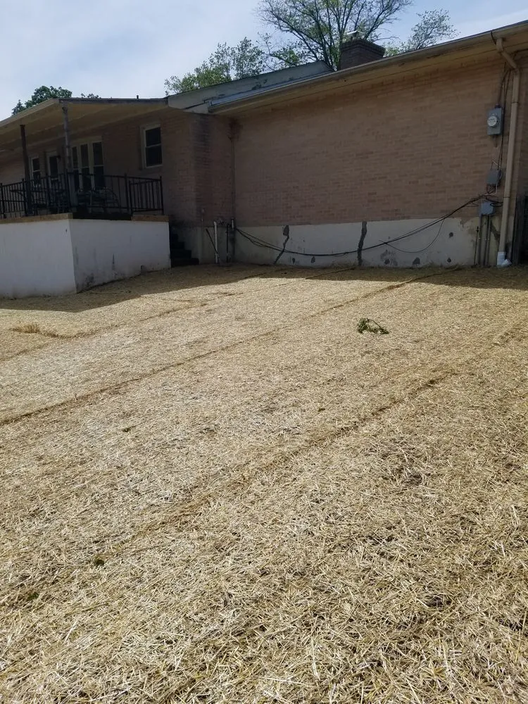 Professional residential landscaping for beautiful yards across Pottstown, PA - Green Side Up Landscaping