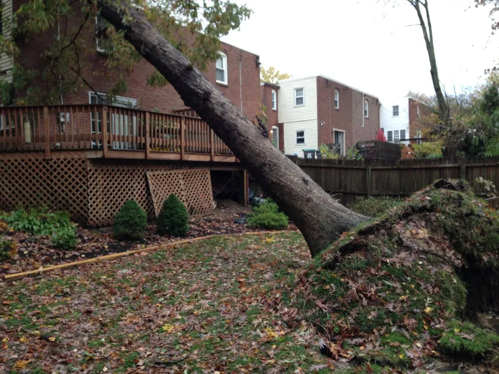 Top-rated lawn mowing service in Hockessin, DE by Green Side Up Lawn & Landscape