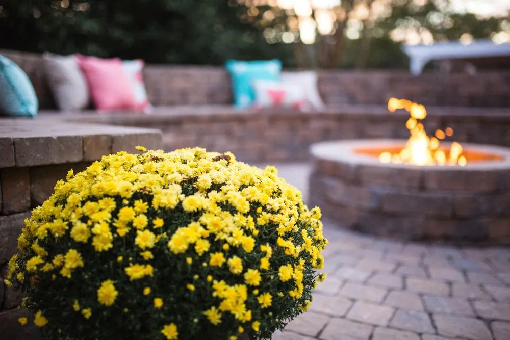 Local garden landscaping for year-round maintenance across Wilmington, NC - Green Side Up of Wilmington