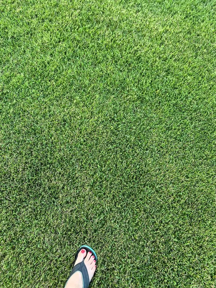 Expert outdoor landscaping experts serving Sheridan, WY - Green Side Up