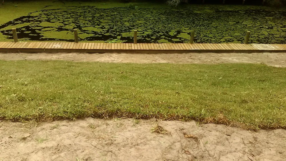 Local landscape installation in East Palatka, FL - Green Side Up Sod