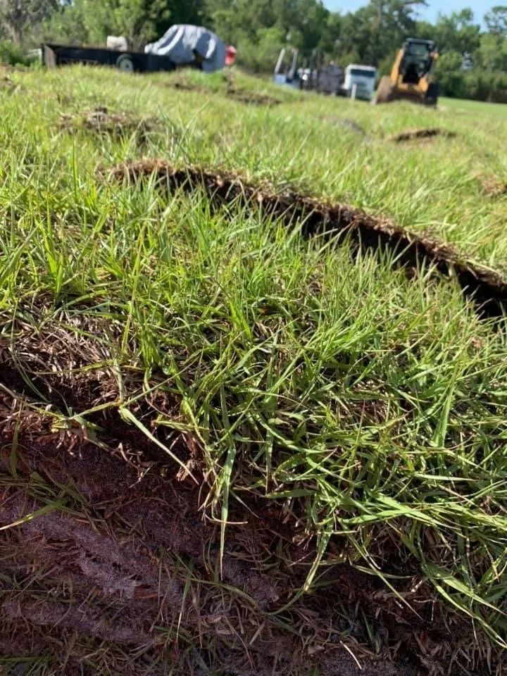 Reliable landscape installation in Ocala, FL by Green Side Up Sod Services