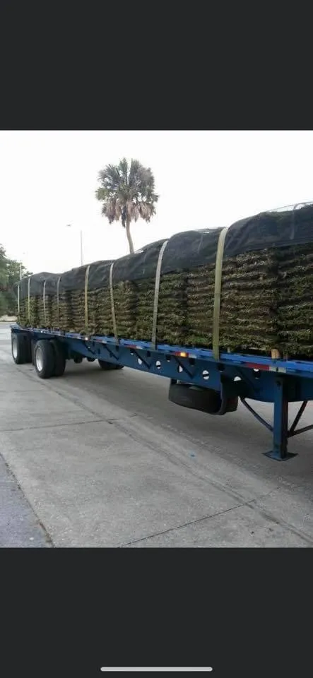 Expert lawn care service experts serving Ocala, FL - Green Side Up Sod Services