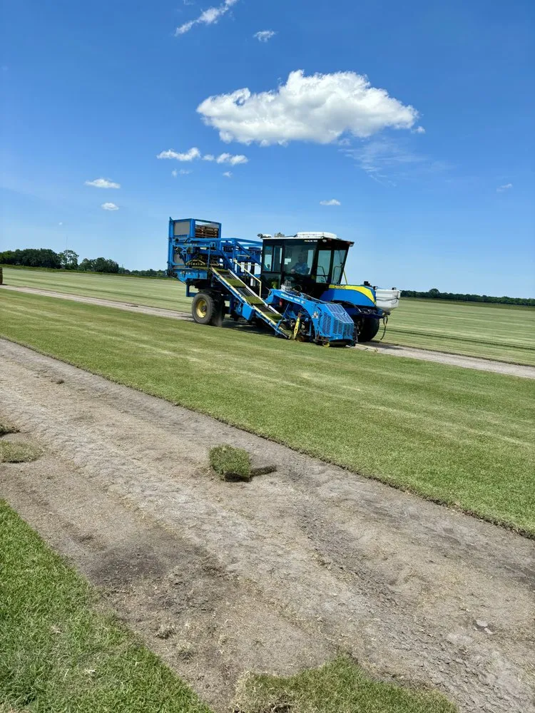 Trusted landscape installation near you across Ocala, FL - Green Side Up Sod Services
