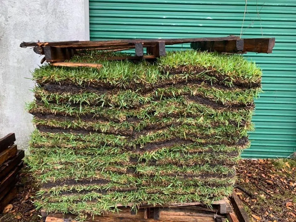 Trusted outdoor landscaping for homes in Ocala, FL by Green Side Up Sod Services