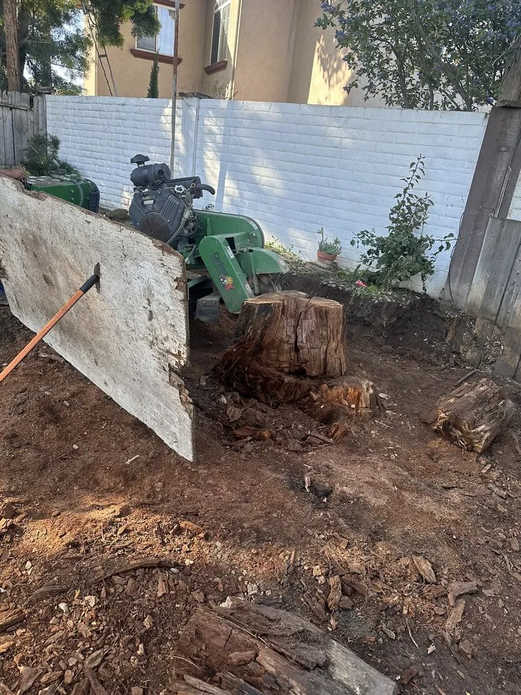 Expert outdoor landscaping for homes across San Jose, CA - Green Sierra Landscaping