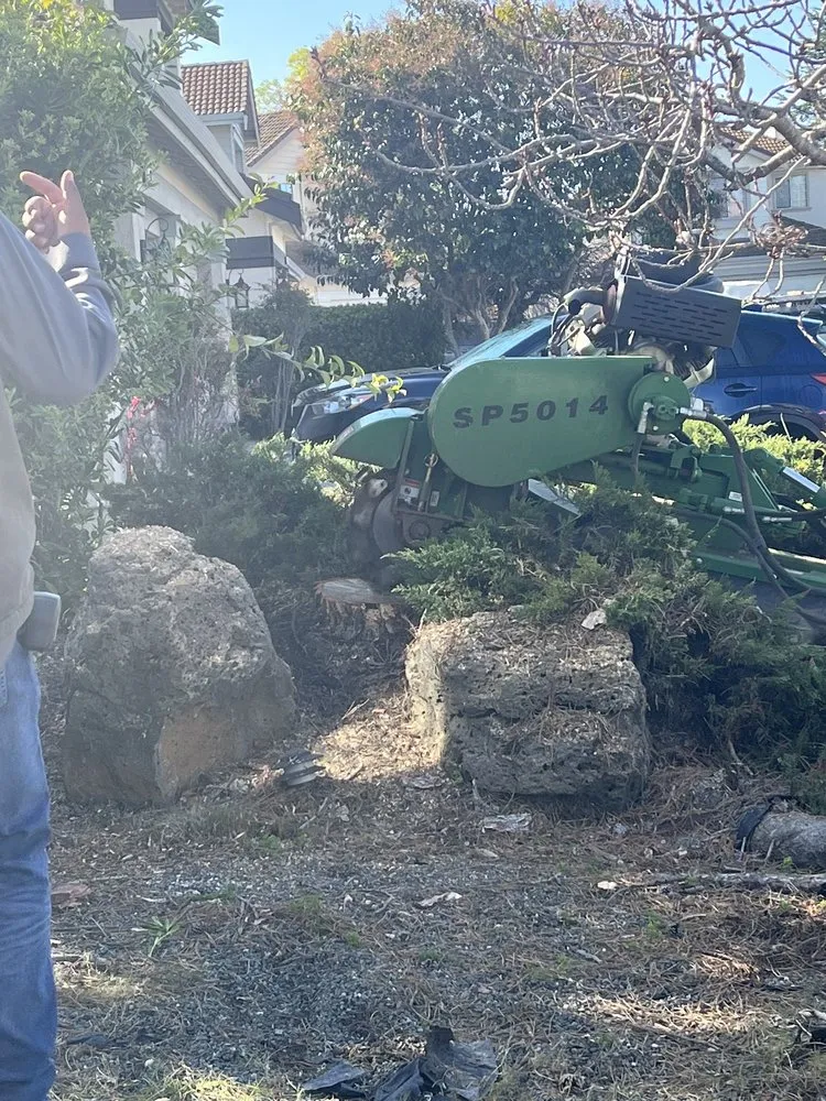 Professional lawn care service experts serving San Jose, CA - Green Sierra Landscaping