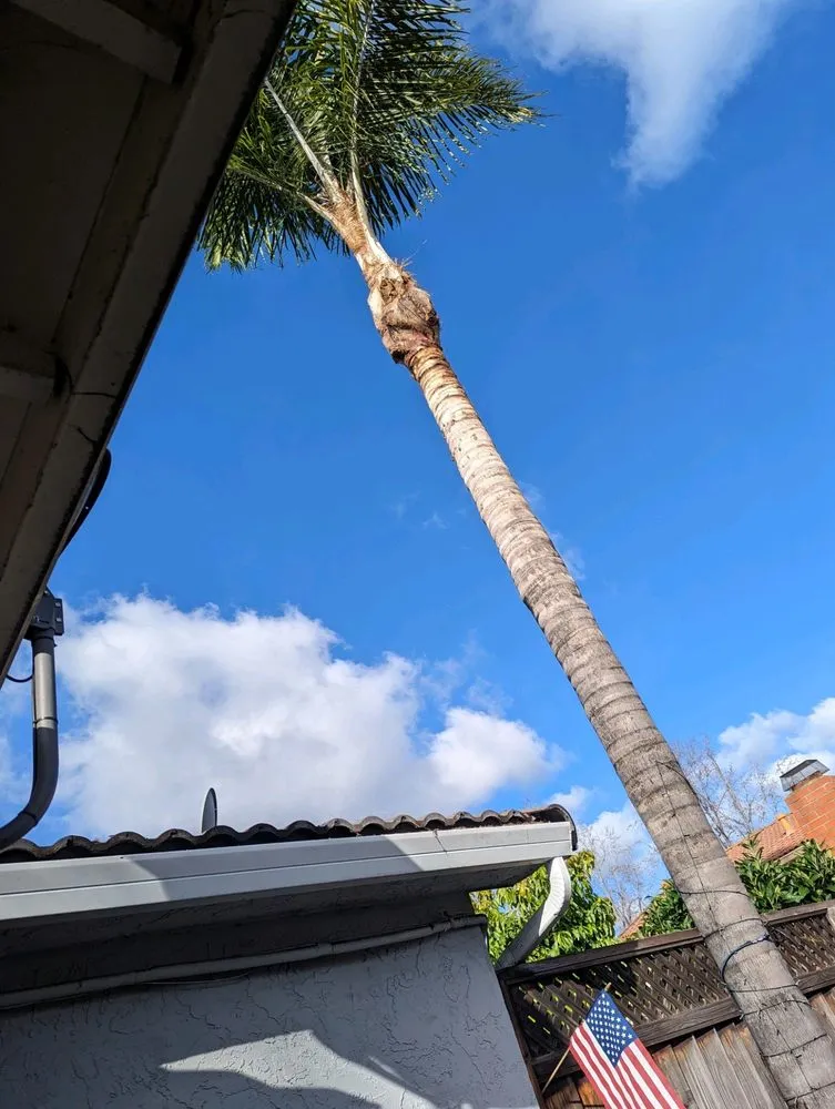 Affordable residential landscaping experts serving San Jose, CA - Green Sierra Landscaping