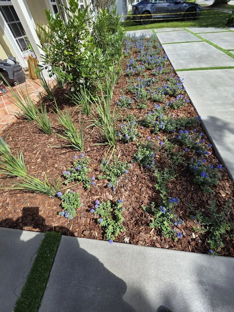 Local residential landscaping in Miami, FL by Green Simple Landscape