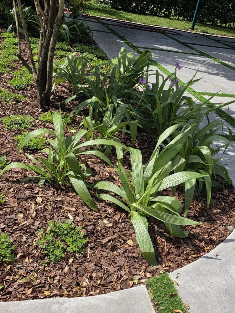 Custom landscaping services in Miami, FL - Green Simple Landscape