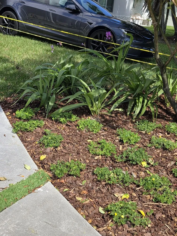 Top-rated yard maintenance for homes in Miami, FL by Green Simple Landscape