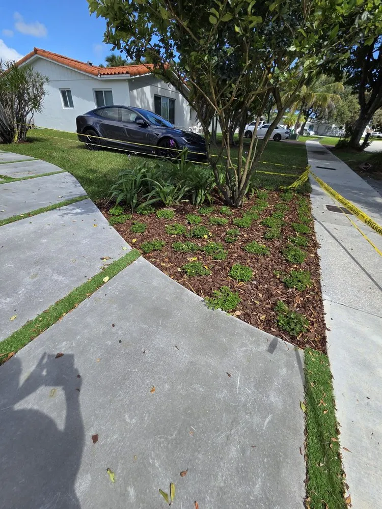 Affordable landscaping services experts serving Miami, FL - Green Simple Landscape