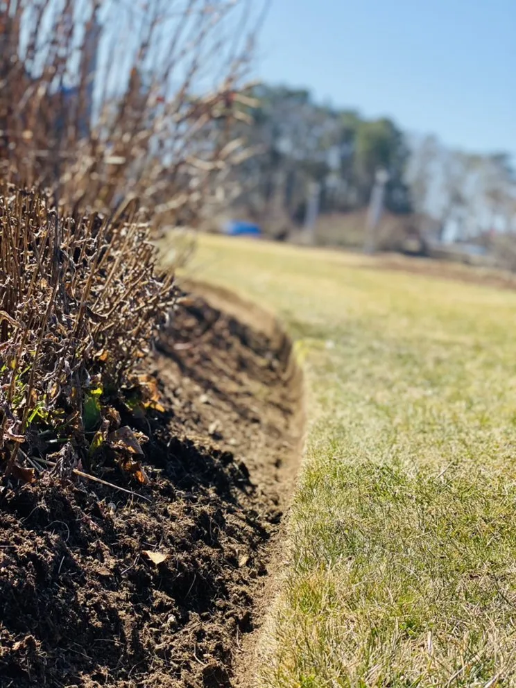 Affordable yard cleanup service near you across South Yarmouth, MA - Green Site Landscape