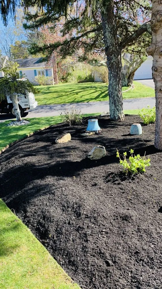 Trusted yard maintenance in South Yarmouth, MA - Green Site Landscape