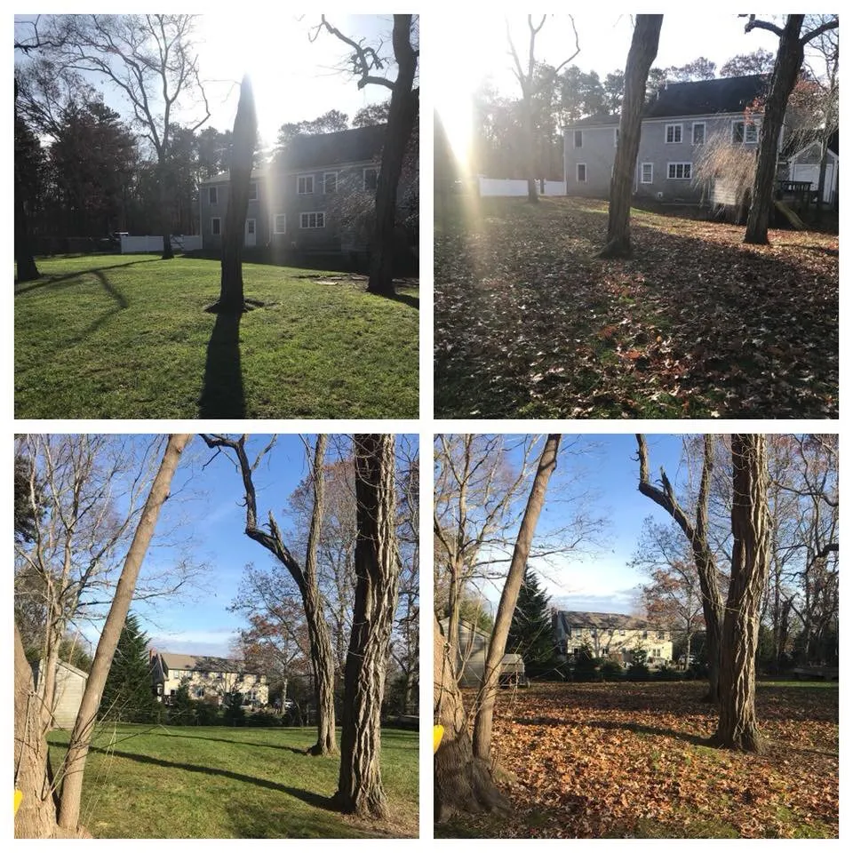 Affordable yard maintenance for outdoor upgrades across South Yarmouth, MA - Green Site Landscape