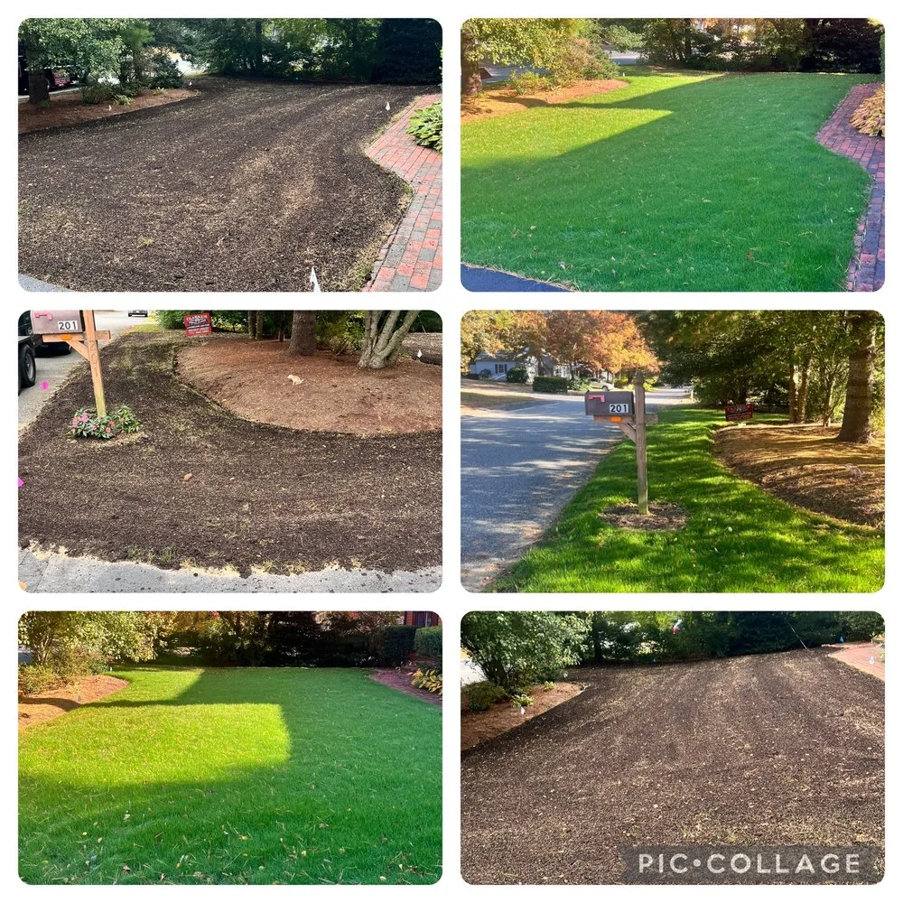 Expert landscape installation experts serving South Yarmouth, MA - Green Site Landscape