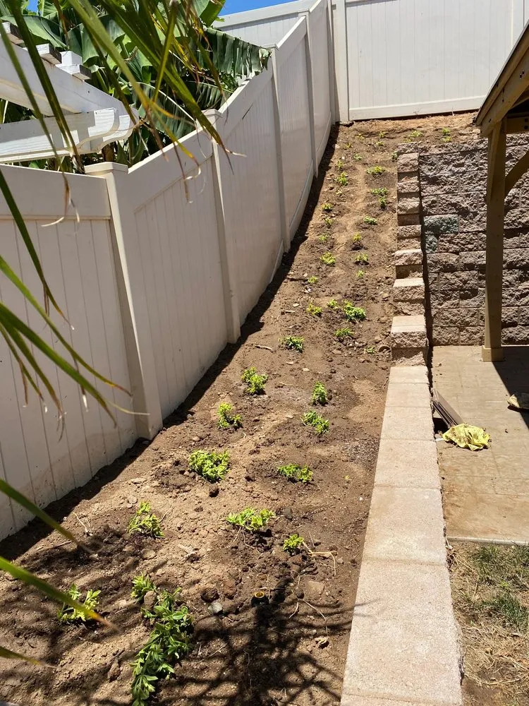 Local lawn mowing service in Perris, CA - Green Sky Irrigation