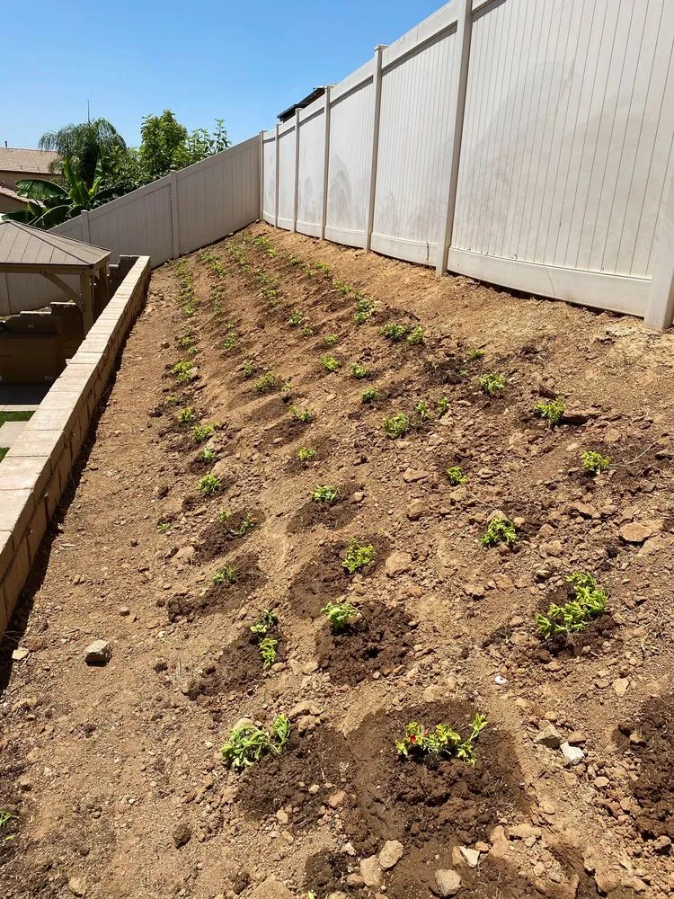 Affordable landscape design experts serving Perris, CA - Green Sky Irrigation