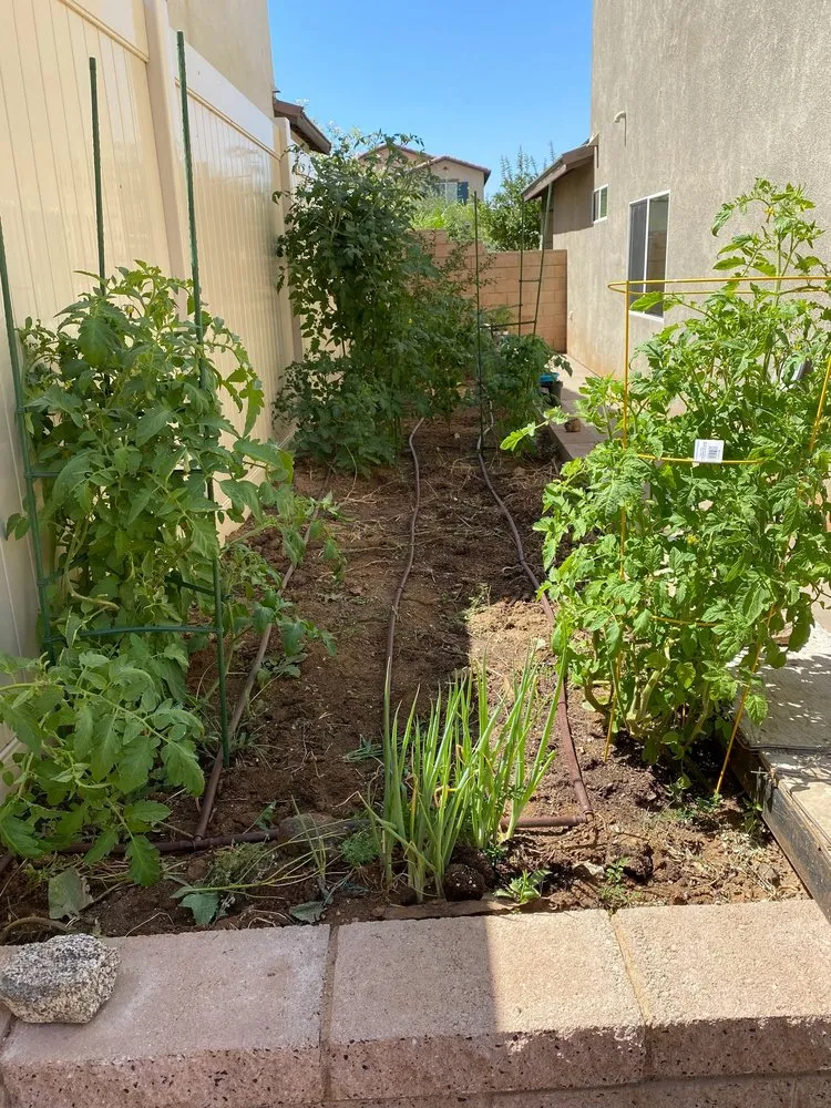 Professional yard cleanup service in Perris, CA by Green Sky Irrigation