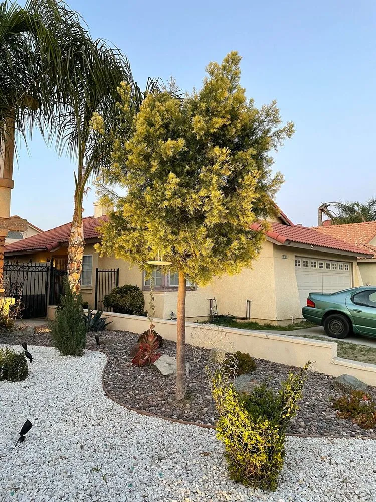 Expert yard maintenance in Perris, CA by Green Sky Irrigation