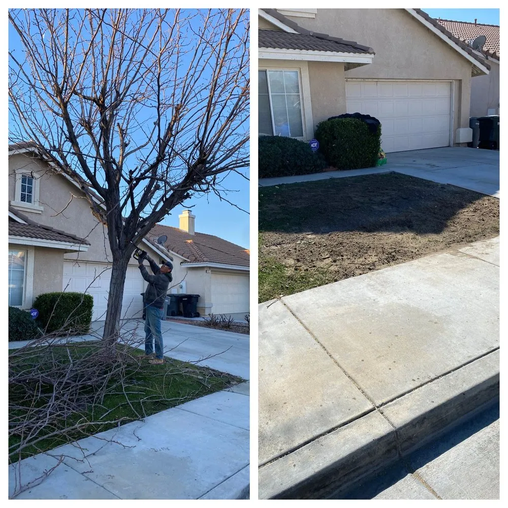 Custom landscape installation with custom design in Perris, CA by Green Sky Irrigation