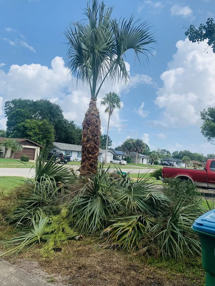 Top-rated landscape installation experts serving Deltona, FL - Green sky landscaping