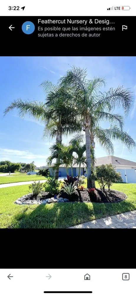 Expert residential landscaping for year-round maintenance across Deltona, FL - Green sky landscaping